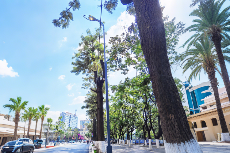 景觀路燈  廠家